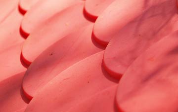 St Leonards Street plastic roof costs